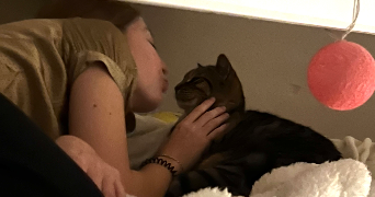 océane pet sitter à CESSON 77240_0