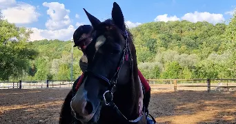 lalie pet sitter à STE MARIE AUX CHENES 57255