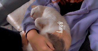 rachel pet sitter à WIMILLE 62126_3
