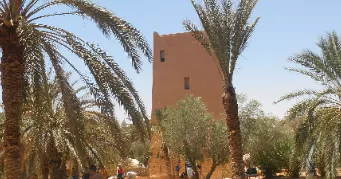 laurine pet sitter à COURNON D AUVERGNE 63800