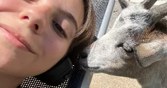 pomme pet sitter à STRASBOURG 67100