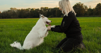 priscillia pet sitter à LIBOURNE 33500_3