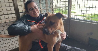 allyson pet sitter à Saint-Etienne 42000_1