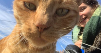 eline pet sitter à TOULOUSE 31100_3