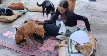 katia pet sitter à NANTES 44200