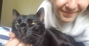 léna cat sitter à Sannois 95110_8