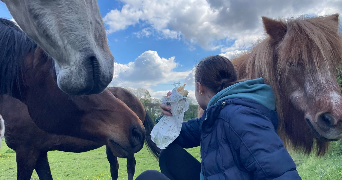 anna pet sitter à ARRAS 62000_1