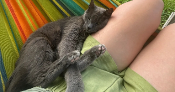 pauline pet sitter à CHAVENAY 78450_4