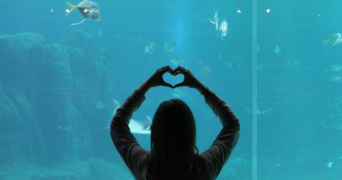 clarisse pet sitter à AMIENS 80000_2