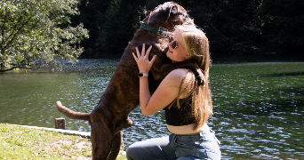 rachel pet sitter à MONT ST AIGNAN 76130_5