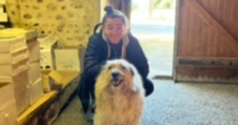 justine pet sitter à LAGORD 17140_0