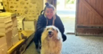 justine pet sitter à LAGORD 17140