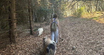 fleur pet sitter à CROZES HERMITAGE 26600_11