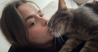 ambre pet sitter à AMBARES ET LAGRAVE 33440_2