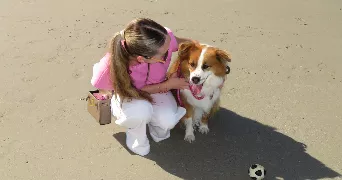 julie pet sitter à RENNES 35000