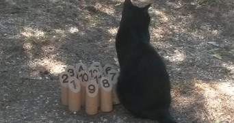 annabelle pet sitter à RULLY 60810_2