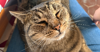 florine pet sitter à OROER 60510_1