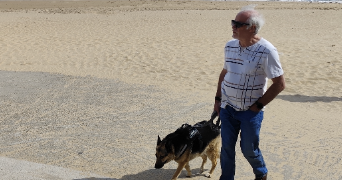 alfredo pet sitter à SARAN 45770_1