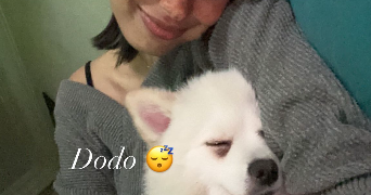 tattou pet sitter à VANVES 92170_2