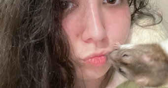anissa pet sitter à MONTPELLIER 34070_8