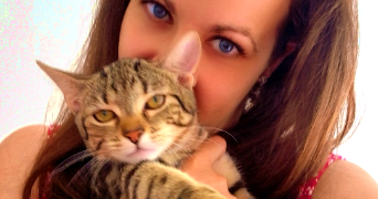 priscillia pet sitter à WITTELSHEIM 68310_0