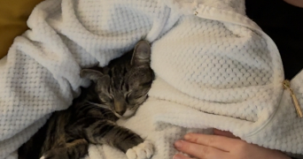 camille pet sitter à TOURS 37000_4