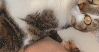 mallaury pet sitter à BESANCON 25000_0