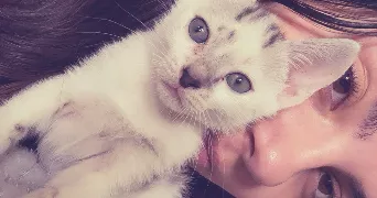 lea pet sitter à VILLENEUVE D ASCQ 59650