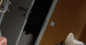 mathilde pet sitter à GRIES 67240_2