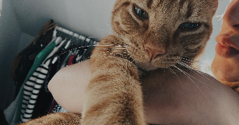 louanne pet sitter à RENNES 35000_2