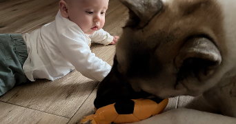 lea pet sitter à KINGERSHEIM 68260_2
