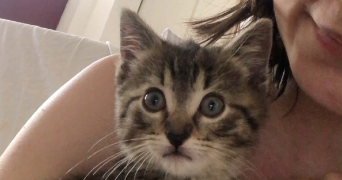 hélène pet sitter à ST GELAIS 79410_3