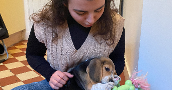 iman pet sitter à PARIS 15 75015_1