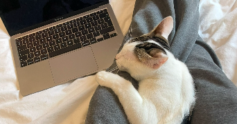 fleur pet sitter à ANNEMASSE 74100_3