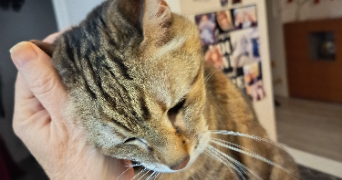 nathalie pet sitter à NICE 06100_3