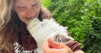 marion pet sitter à DEAUVILLE 14800_8