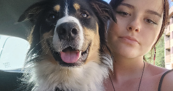lilou pet sitter à SIN LE NOBLE 59450_1