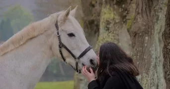 timéa-graziella pet sitter à BOURSONNE 60141