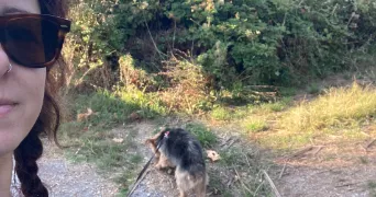johanna melissa pet sitter à GARDANNE 13120