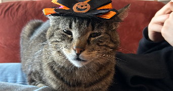 eva pet sitter à CLERMONT FERRAND 63000_4
