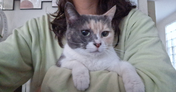 muriel pet sitter à VILLEURBANNE 69100_1