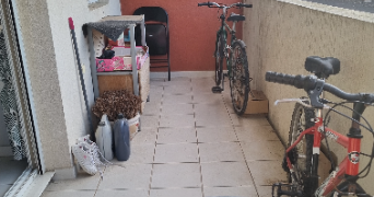 audrey pet sitter à MONTPELLIER 34080_1