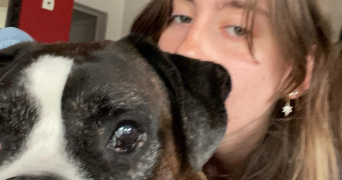 marlène pet sitter à Vieux-boucau les bains 40480_2