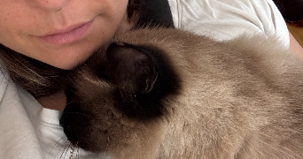 anne-lise pet sitter à CAMPBON 44750_3
