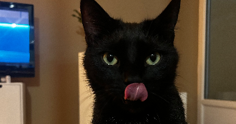 jeanne pet sitter à MONT ST AIGNAN 76130_2