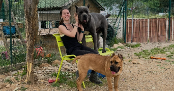 emma pet sitter à ST GENIS DES FONTAINES 66740_4