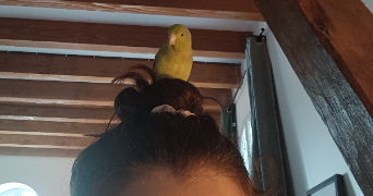 mathilde pet sitter à PANAZOL 87350_4