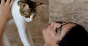 motahare pet sitter à ILLKIRCH GRAFFENSTADEN 67400_0