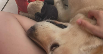 manon pet sitter à CERGY 95000_1