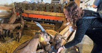 emilie pet sitter à EPINAL 88000_1